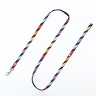 Комплект амуниции двухслойный, S, поводок 120×1 см, ОШ 24-38 ОГ 29-41 см, разноцветные полосы - Фото 9