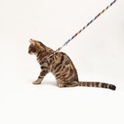 Комплект амуниции двухслойный, S, поводок 120×1 см, ОШ 24-38 ОГ 29-41 см, разноцветные полосы - Фото 10