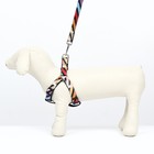 Комплект амуниции двухслойный, размер L, поводок 120×2 см, ОШ 31-45 см, ОГ 35-52 см, разноцветный - Фото 2