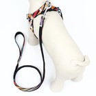 Комплект амуниции двухслойный, размер L, поводок 120×2 см, ОШ 31-45 см, ОГ 35-52 см, разноцветный - Фото 3