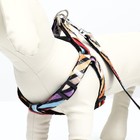 Комплект амуниции двухслойный, размер L, поводок 120×2 см, ОШ 31-45 см, ОГ 35-52 см, разноцветный - Фото 6