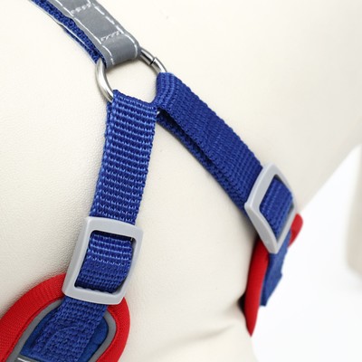 Шлейка с поводком Sport+, размер S, ОШ 39-41 см, ОГ 44-48 см, поводок 150×1.5 см, вес животного 7-13 кг, синяя