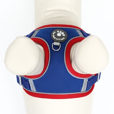 Шлейка с поводком Sport+, размер S, ОШ 39-41 см, ОГ 44-48 см, поводок 150×1.5 см, вес животного 7-13 кг, синяя