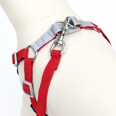 Шлейка с поводком Sport+, размер S, ОШ 39-41 см, ОГ 44-48 см, поводок 120×1.5 см, вес животного 7-13 кг, красная