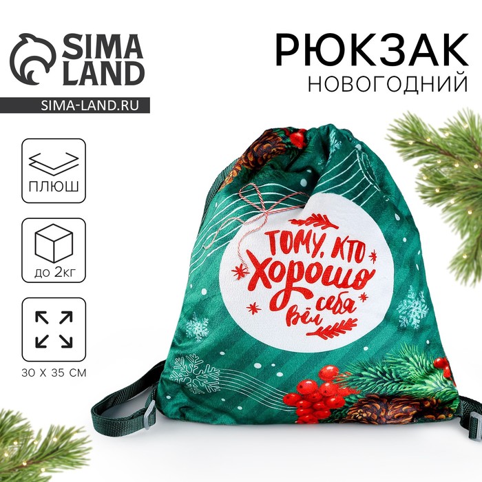 Рюкзак - мешок детский новогодний «Тому, кто хорошо себя вёл», 35×30 см - Фото 1