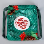 Рюкзак - мешок детский новогодний «Тому, кто хорошо себя вёл», 35×30 см - Фото 7