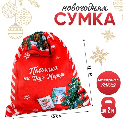 Сумка детская новогодняя «Посылка от Деда Мороза», 35 х 30 см., на новый год