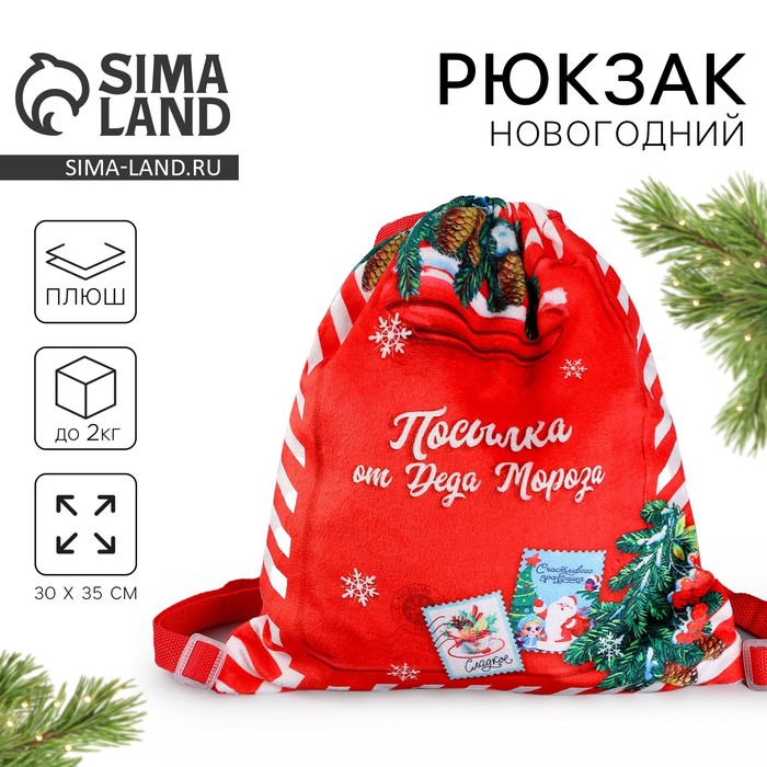Рюкзак - мешок детский новогодний «Посылка от Деда Мороза», 35×30 см - Фото 1