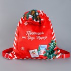 Рюкзак - мешок детский новогодний «Посылка от Деда Мороза», 35×30 см - Фото 2