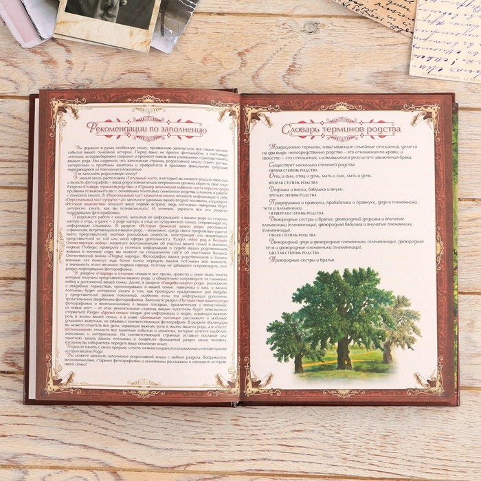 Родословная книга "Семейная летопись" в шкатулке с деревом, 20 х 26 см