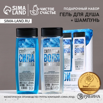 Подарочный набор новогодний мужской «Возможности безграничны»: гель для душа и шампунь для волос, 2×250 мл, Чистое счастье