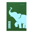 Тетрадь А4, 80 листов в клетку Pro100, обложка мелованный картон, ламинация Soft Touch, МИКС (комплект 2 шт) - фото 23235532