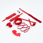 Эротический БДСМ набор, 8 предметов, металл, кожа, красный - Фото 1