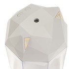 Увлажнитель воздуха Luazon HM-12 "Волк", ультразвуковой, 650 мл, 2 Вт, погружной, USB, белый - Фото 10