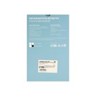 Увлажнитель воздуха Luazon HM-12 "Волк", ультразвуковой, 650 мл, 2 Вт, погружной, USB, белый - Фото 13