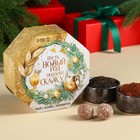 Подарочный набор «Пусть Новый год подарит сказку»: чай зелёный с жасмином 50 г., кофе молотый 50 г., конфеты с начинкой 50 г. - фото 11585916