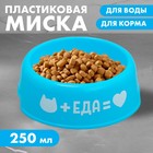 Миска пластиковая «Еда для кота», 250 мл, голубая - фото 7870626