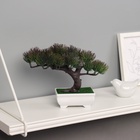 Бонсай искусственный в горшке «Сосна галант», 12×16 см, МИКС - Фото 5
