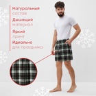 Шорты мужские домашние KAFTAN размер 52, зелёный - Фото 2