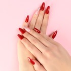 Накладные ногти «Страсть», 24 шт, клеевые пластины, форма балерина, цвет глянцевый красный/розовый/серебристый - фото 7870858