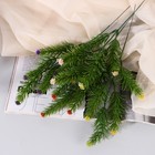 Букет "Можжевельник ягодный" 30 см, микс(фасовка 5шт,цена за 1шт) (комплект 5 шт) - фото 24552715