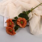 Цветы искусственные "Хризантема колор галант" 10х60 см, оранжевый - фото 7870892