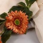 Цветы искусственные "Хризантема колор галант" 10х60 см, оранжевый - Фото 2