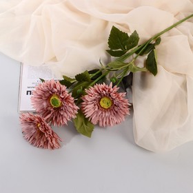 Цветы искусственные 'Хризантема колор галант' 10х60 см, розовый