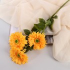 Цветы искусственные "Хризантема колор галант" 10х60 см, жёлтый - фото 11586210