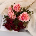 Букет "Роза кудрявая" 28 см, микс - фото 7870923