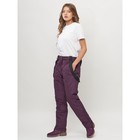 Брюки горнолыжные женские, размер 56, цвет тёмно-фиолетовый - Фото 2