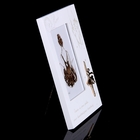 Фоторамка дерево "Балерина" 10х15 см - Фото 2