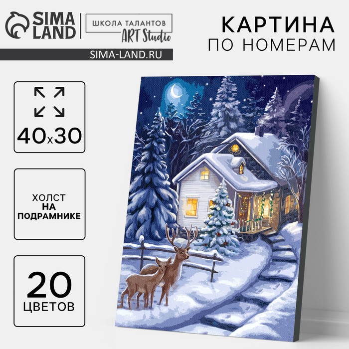 Картина по номерам на новый год на холсте с подрамником «Зимняя ночь», 40 х 30 см - Фото 1