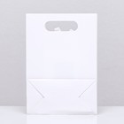 Коробка-пакет, с окном, белый, 20 х 14 х 7 см - Фото 2