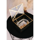 Шкатулка стекло с металлическим каркасом "Бабочка и лист" чёрная дымка 18,7х14,6х9 см - фото 9060211