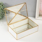 Шкатулка стекло, кожзам с металлическим каркасом "Бабочка" белая 24х16,5х8 см - фото 23237522