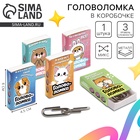 Головоломка металлическая «Милашки», МИКС - Фото 7