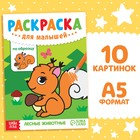 Раскраска для малышей «Лесные животные», по образцу, А5, 12 стр. - Фото 1