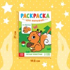 Раскраска для малышей «Лесные животные», по образцу, А5, 12 стр. - Фото 2