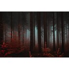 Фотобаннер, 300 × 200 см, с фотопечатью, люверсы шаг 1 м, «Красный лес» - фото 291859366
