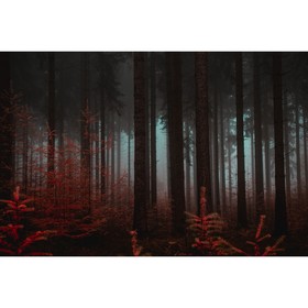 Фотобаннер, 300 × 200 см, с фотопечатью, люверсы шаг 1 м, «Красный лес», Greengo