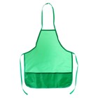 Фартук для труда + нарукавники Calligrata, 550×440/250×160 мм, размер M (рост 122-158), зелёный - Фото 2