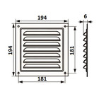 Решетка вентиляционная ZEIN Люкс РМ1919Ц, 190 х 190 мм, с сеткой, металлическая, оцинковка - фото 9182064