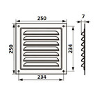Решетка вентиляционная ZEIN Люкс РМ2525СР, 250 х 250 мм, с сеткой, металлическая, серебро - фото 9884648