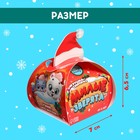 Игрушка-сюрприз «Милые зверята», новогодний МИКС - Фото 2