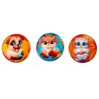 Мяч детский мягкий «Твои друзья», 6.3 см, в шоубоксе - Фото 5