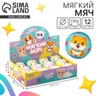 Мяч детский мягкий «Котики» 6,3см , в шоубоксе - Фото 1