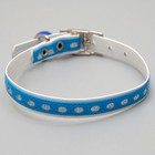 Ошейник из искусственной кожи с блестками, 32×1 см, микс цветов - Фото 2