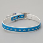 Ошейник из искусственной кожи с блестками, 32×1 см, микс цветов - Фото 3