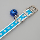 Ошейник из искусственной кожи с блестками, 32×1 см, микс цветов - Фото 4